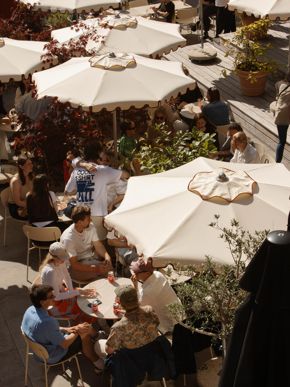 Outdoor cafe scene with cream scalloped parasols, wooden decking, round tables a