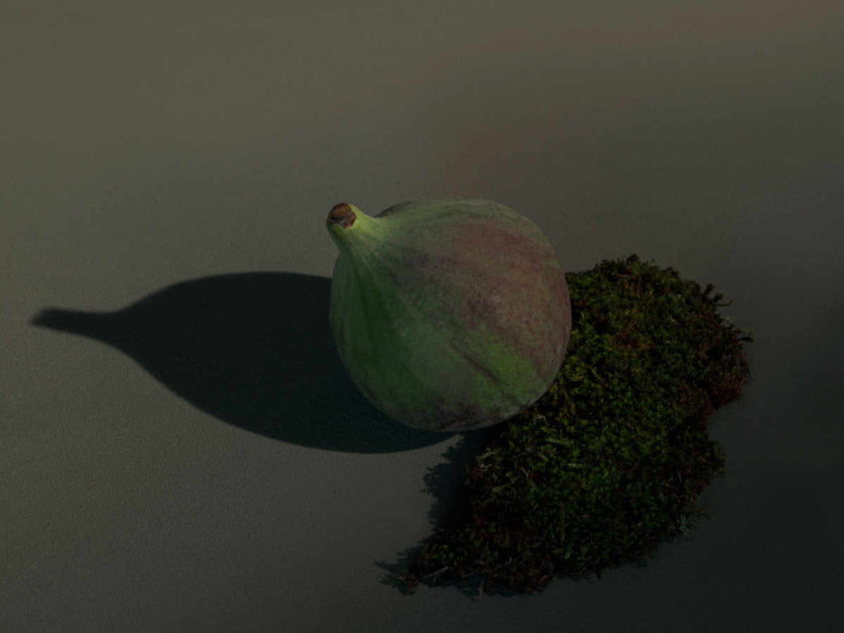 Green and purple fig fruit resting on dark green moss, casting a