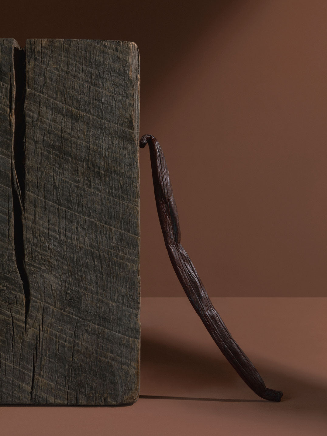 Dark brown dried vanilla bean pod leaning against a textured weathered wooden