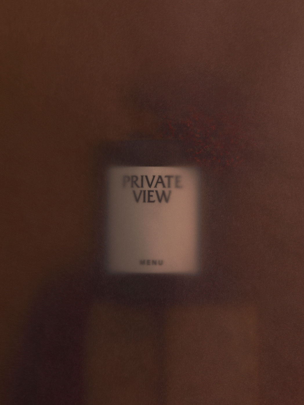 Blurry frosted glass panel with black "PRIVATE VIEW" text and small "MENU"