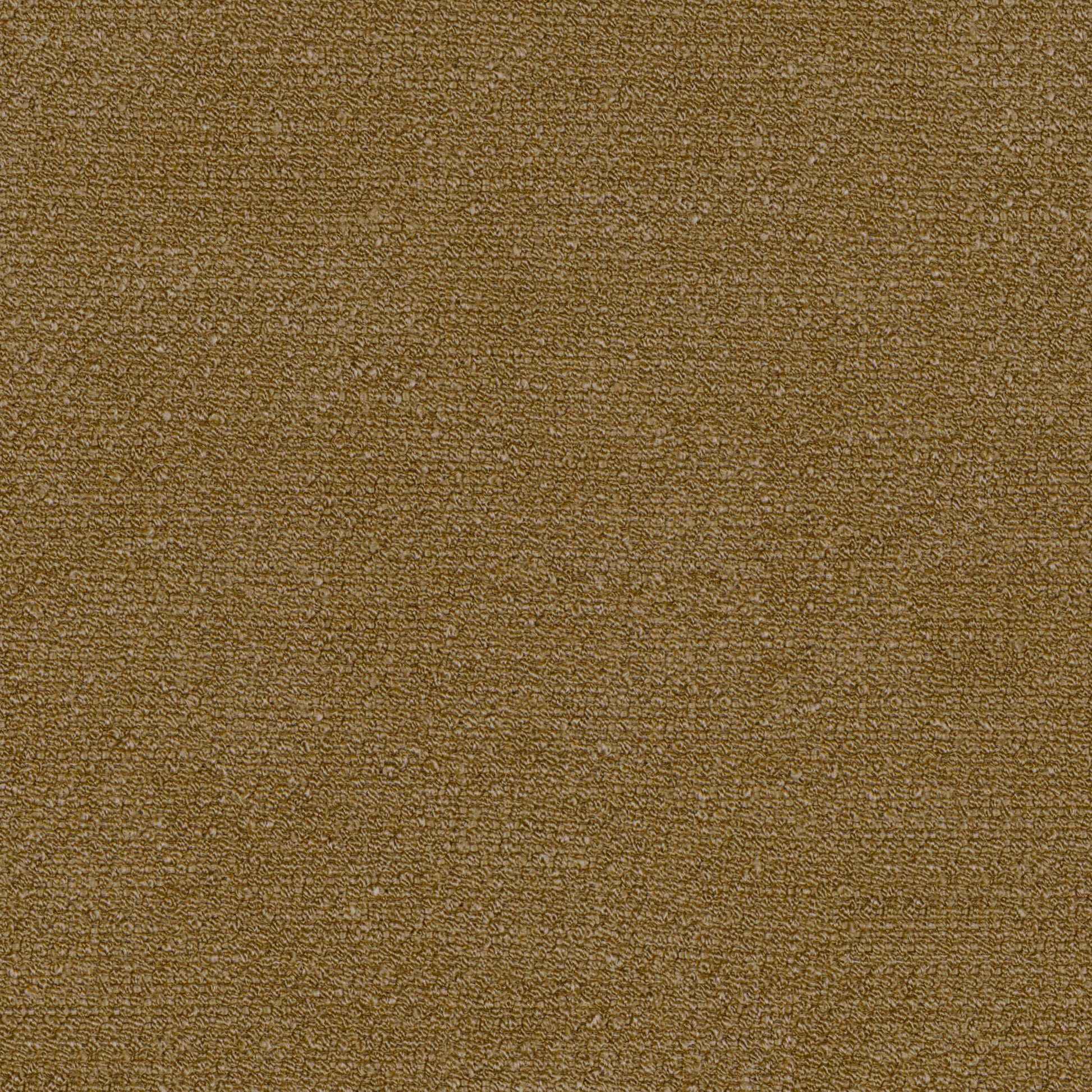 Audo Bouclé, 06