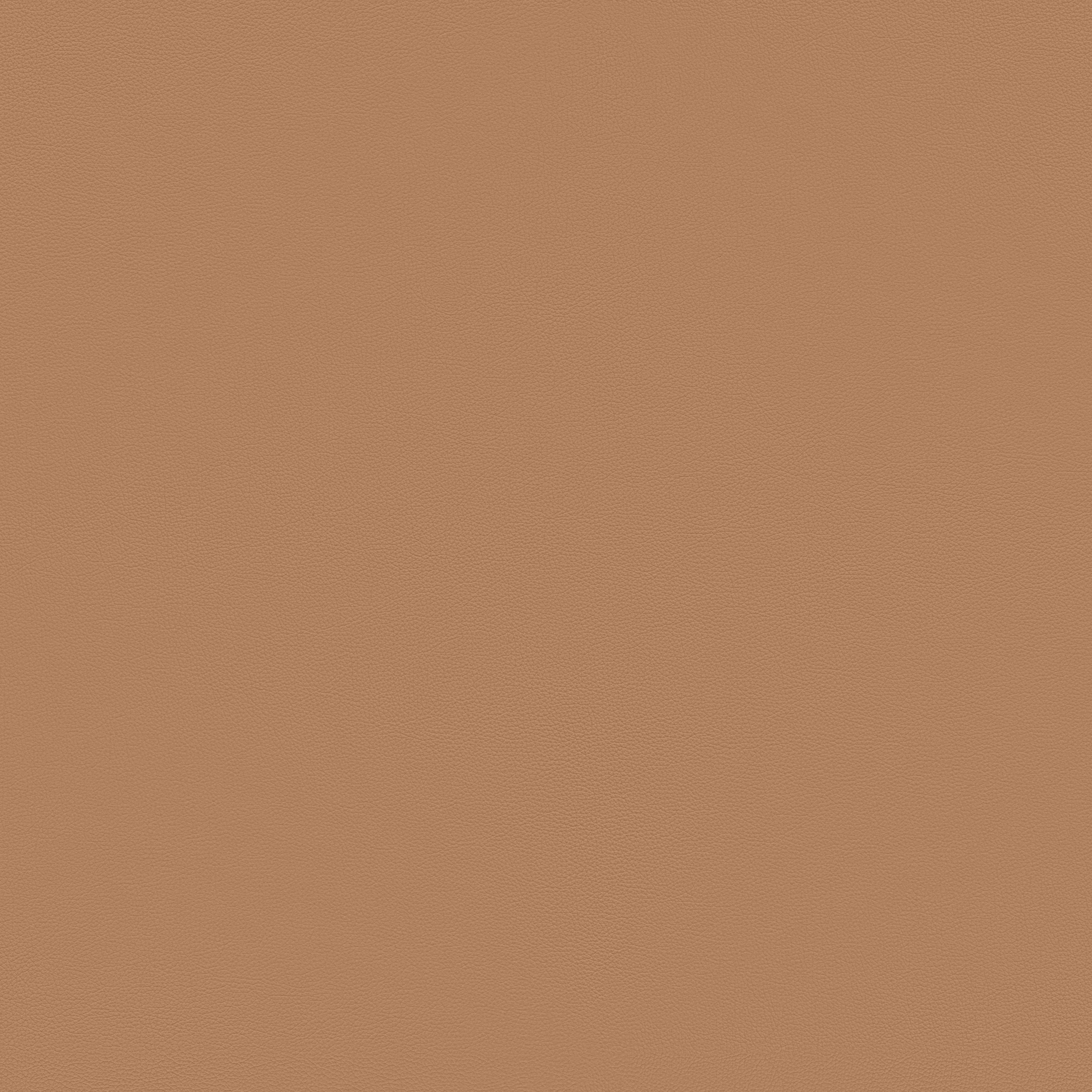 Ultra, 41571 Protected Upholstery Leather by Sørensen Leather