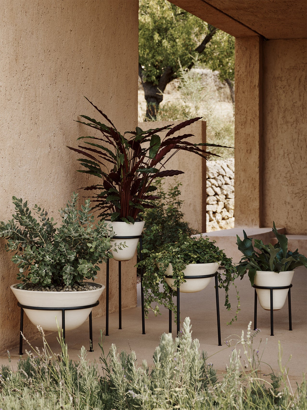 cream pots for plants Daiza Planter | Outdoor Garden collection