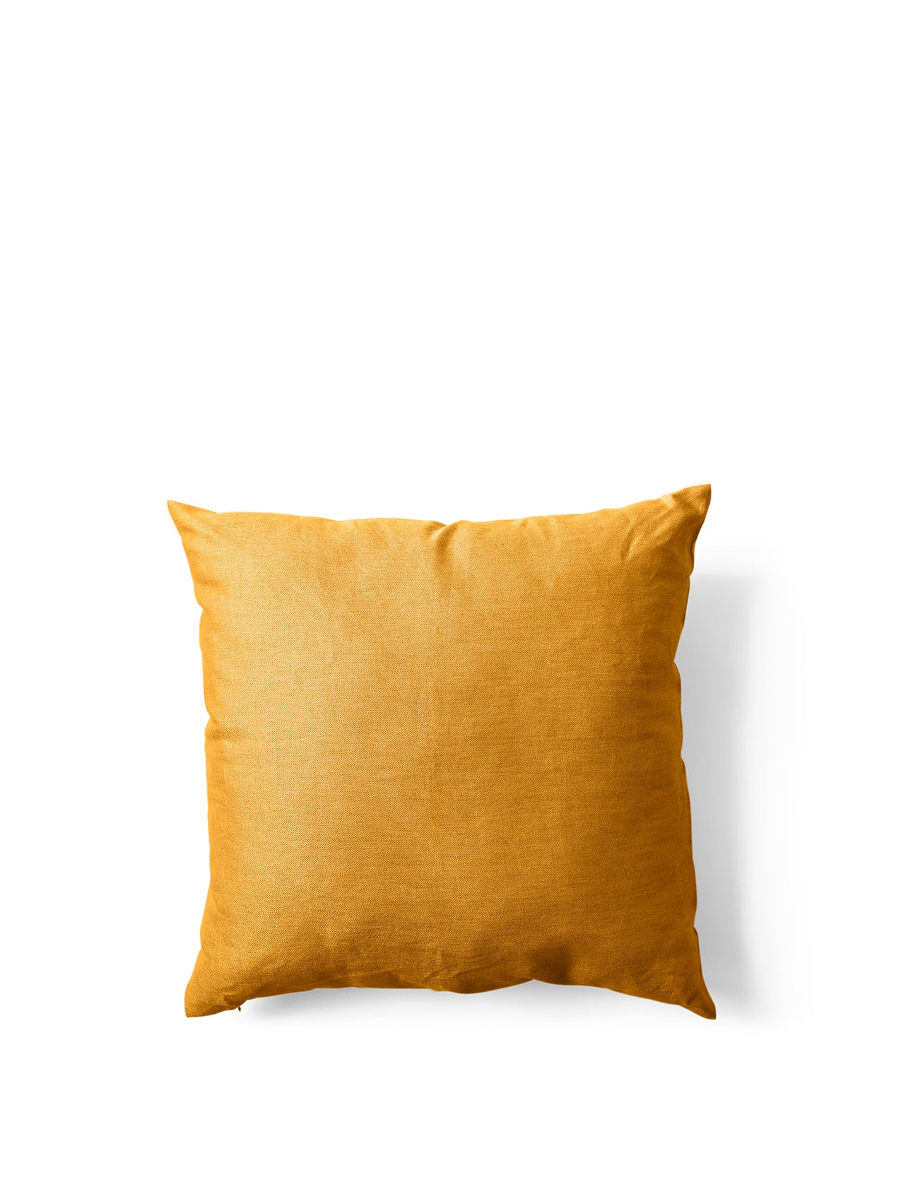 Mimoides Pillow