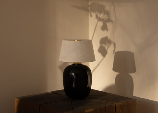Winter Light at Audo Concept Shop