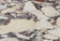 Calacatta Viola Marble