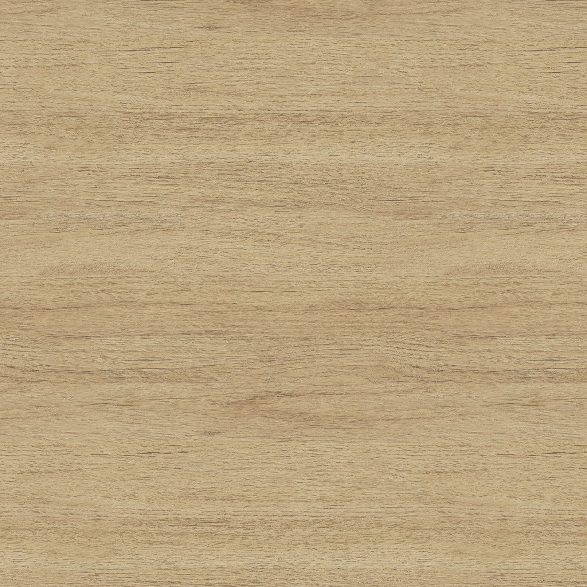 Audo | Solid Oak, Glossy Lacquer | Wood Finish Sample | Explore online