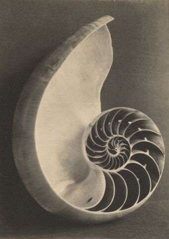 Event ticket: Creative Workshop & Sound Healing