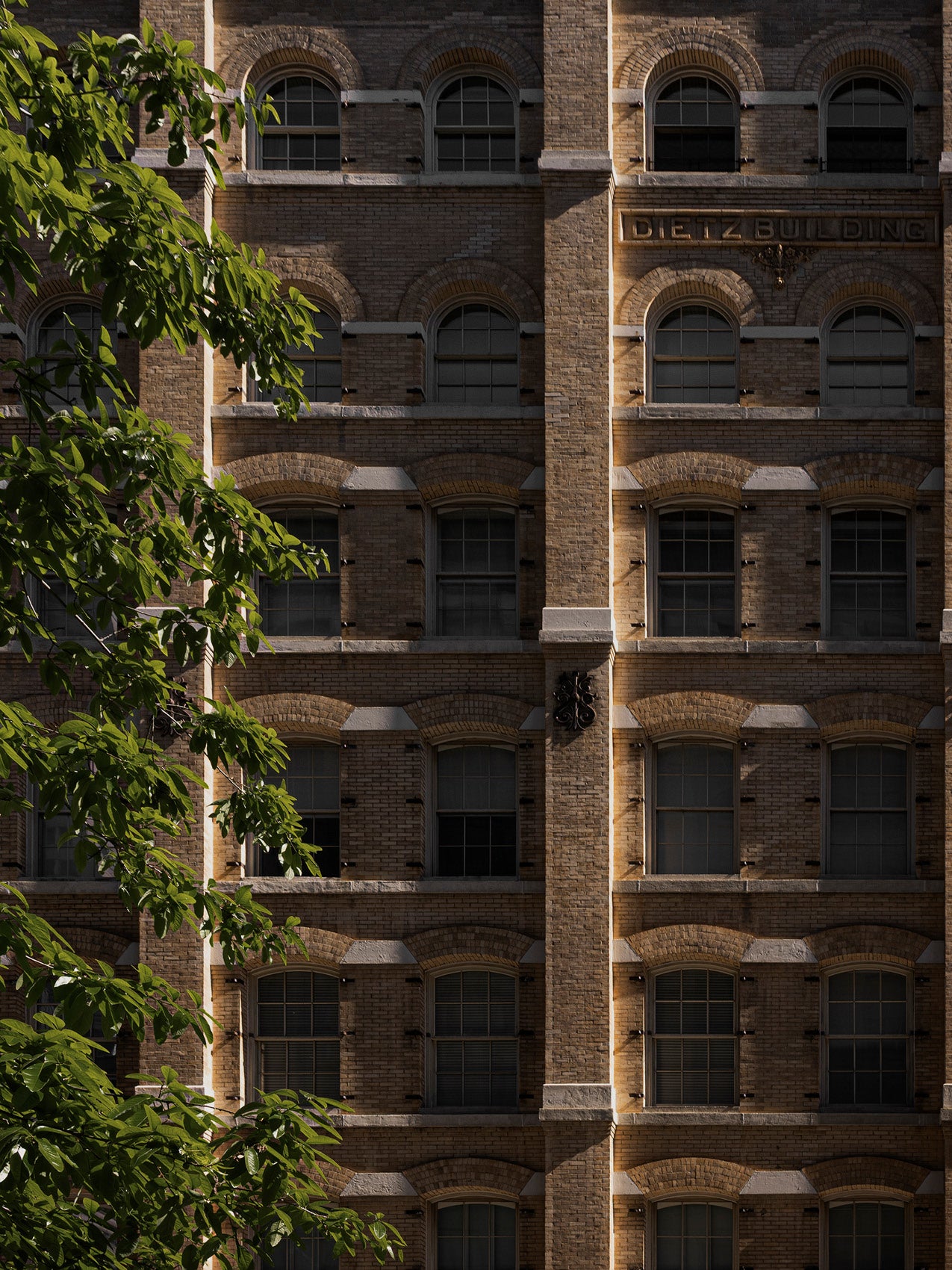 Sunlit yellow-brown brick facade with repeating arched windows and leafy green branch in foreground