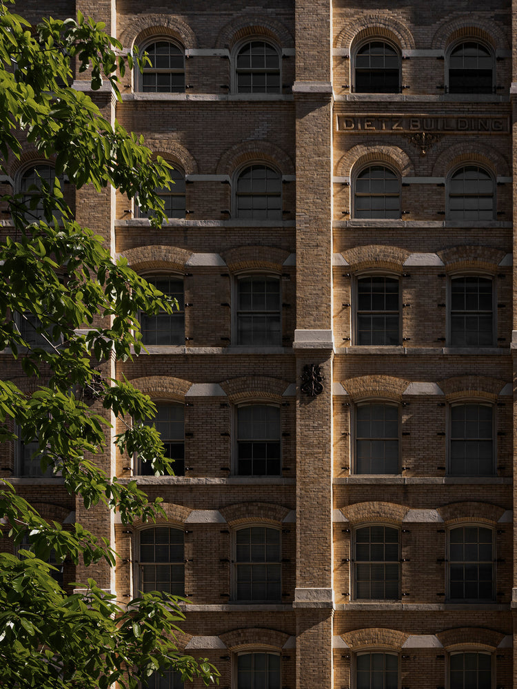 Sunlit yellow-brown brick facade with repeating arched windows and leafy green branch in foreground