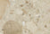 Kunis Breccia Stone