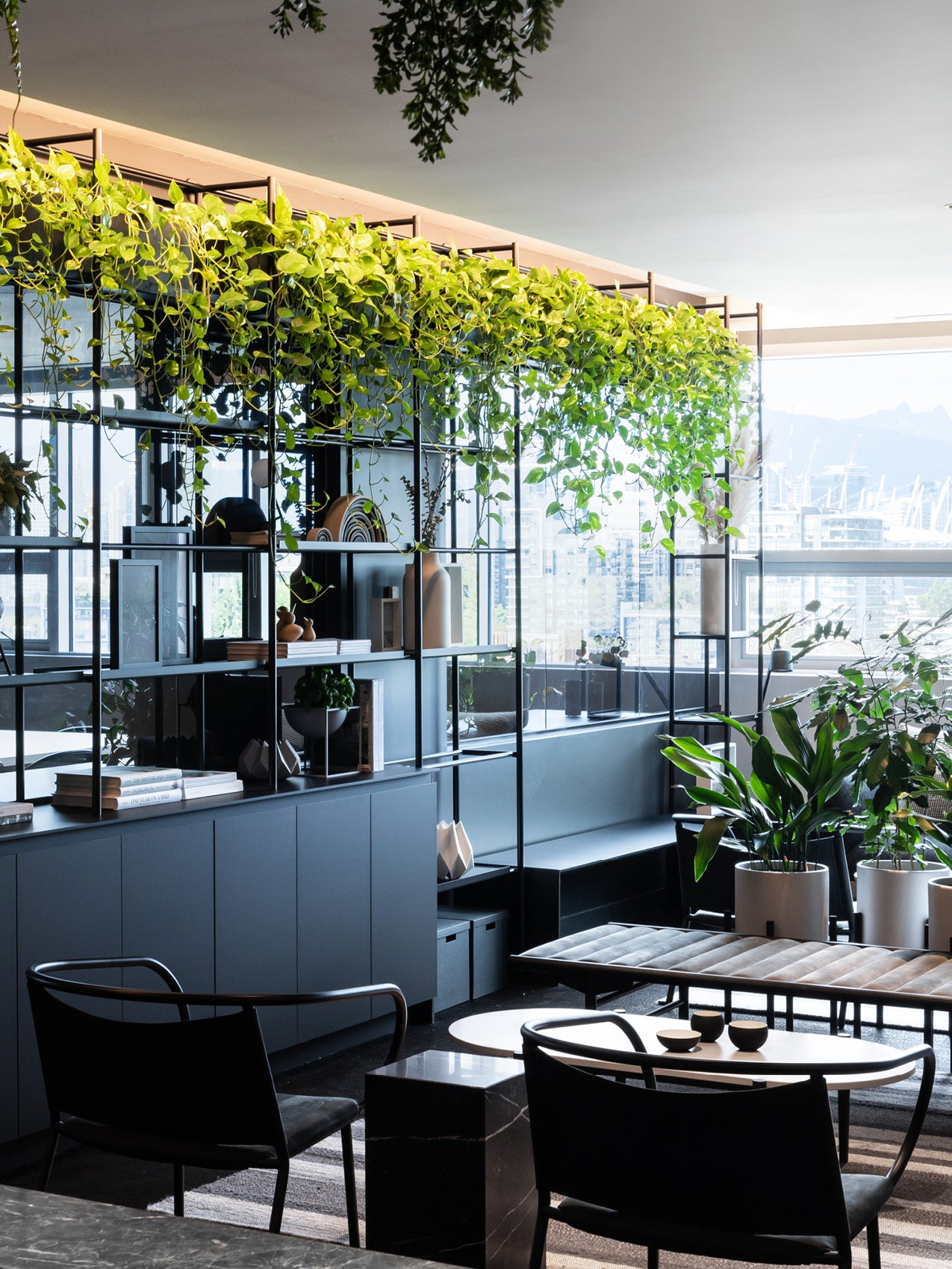 Modern lounge with black metal shelving, cascading green pothos plants, dark bench seating and potted foliage by windows