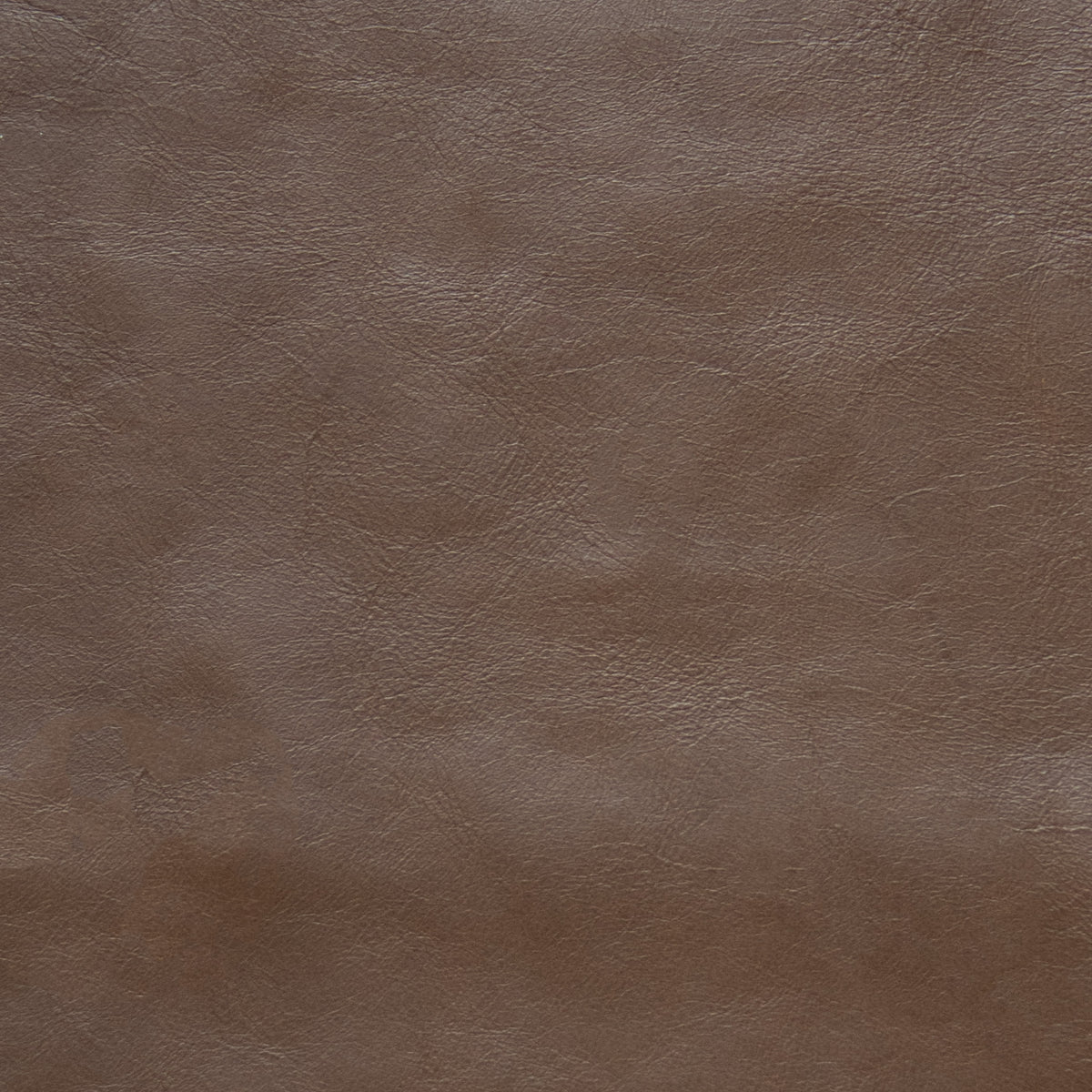 Aida Oeko-Tex upholstery in brown full-grain aniline leather with a soft touch and natural texture.
