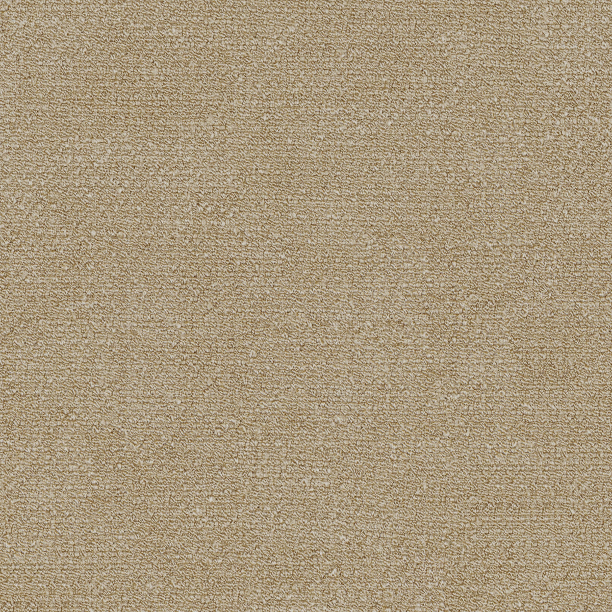 Audo Bouclé, 02