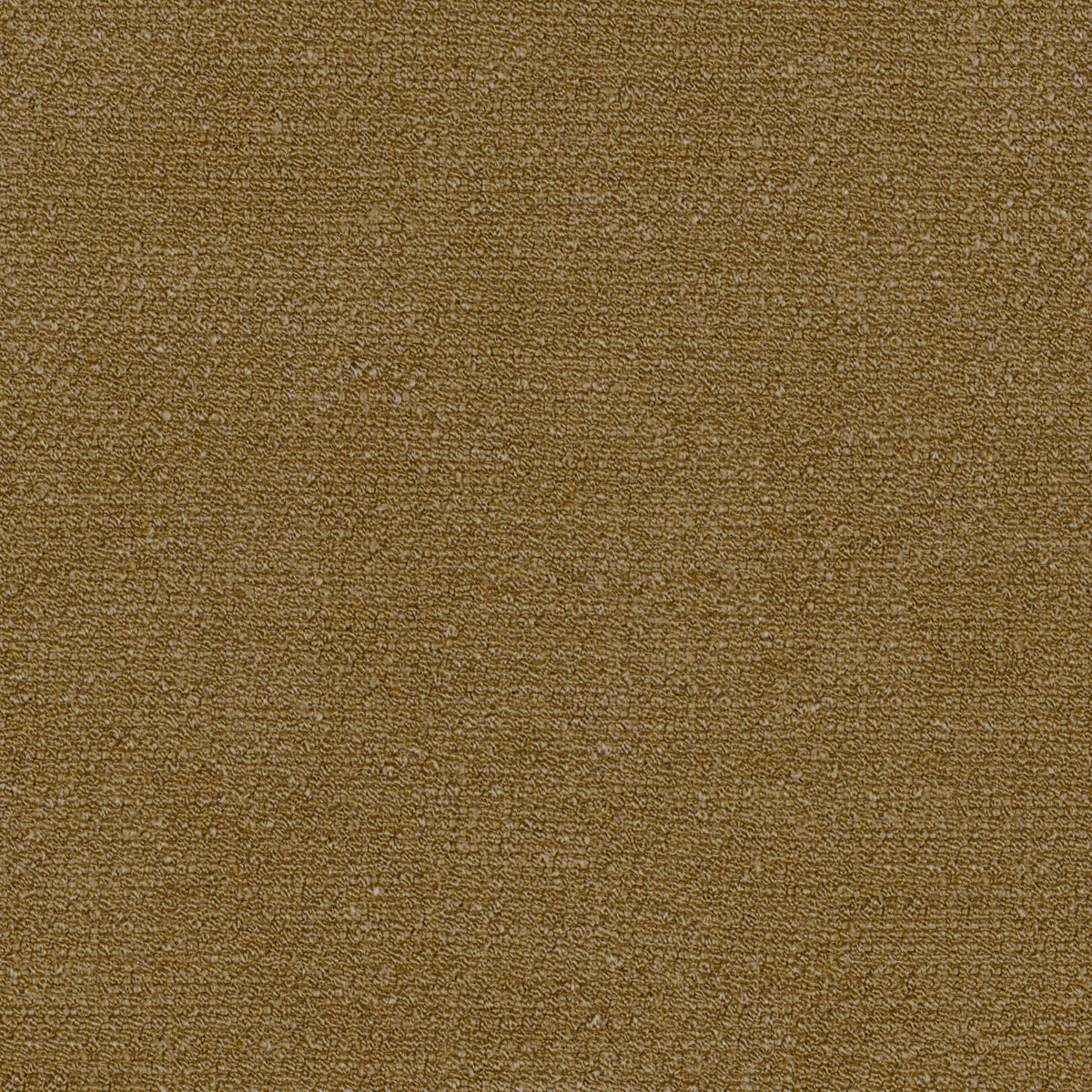Audo Bouclé, 06
