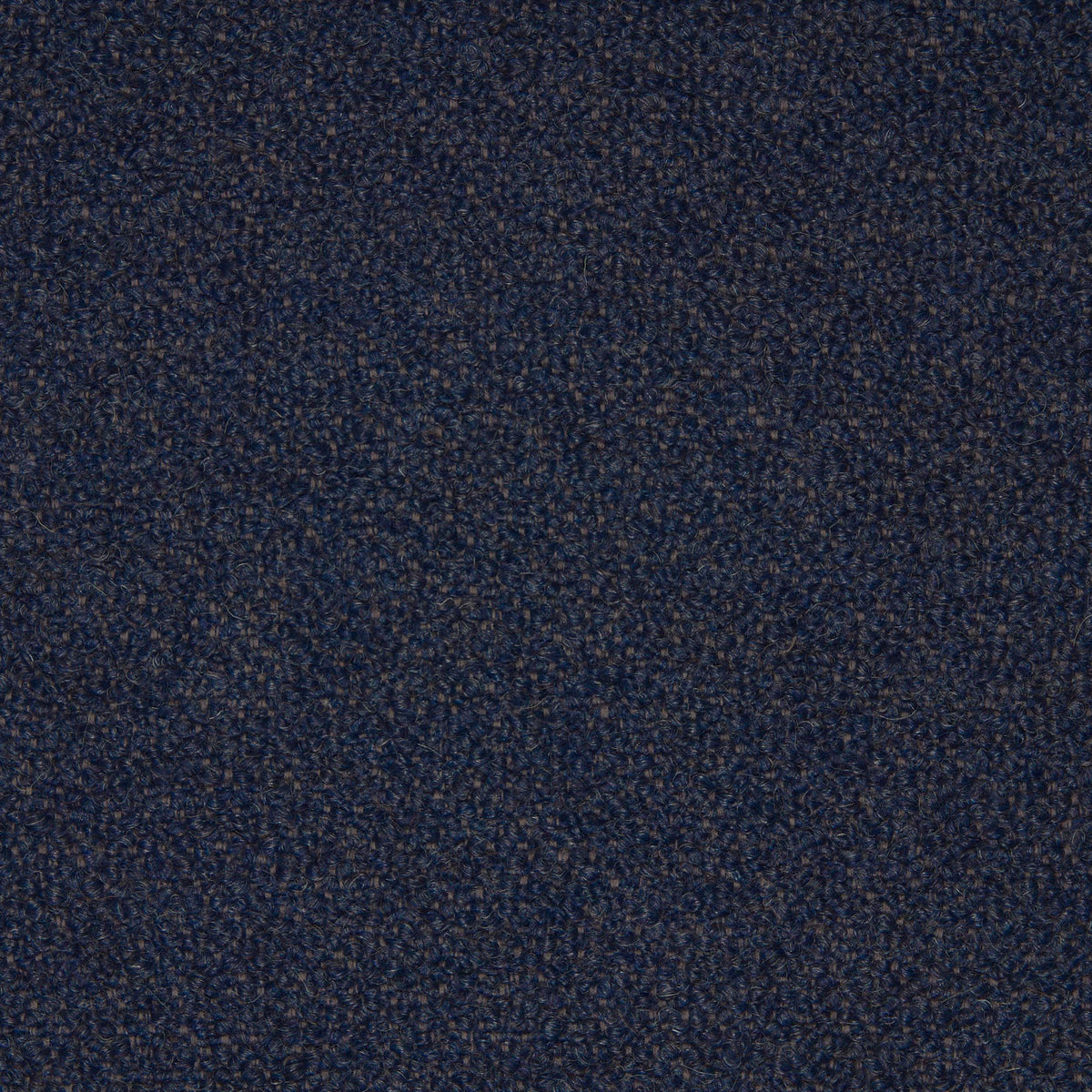 Barnum Bouclé, 19