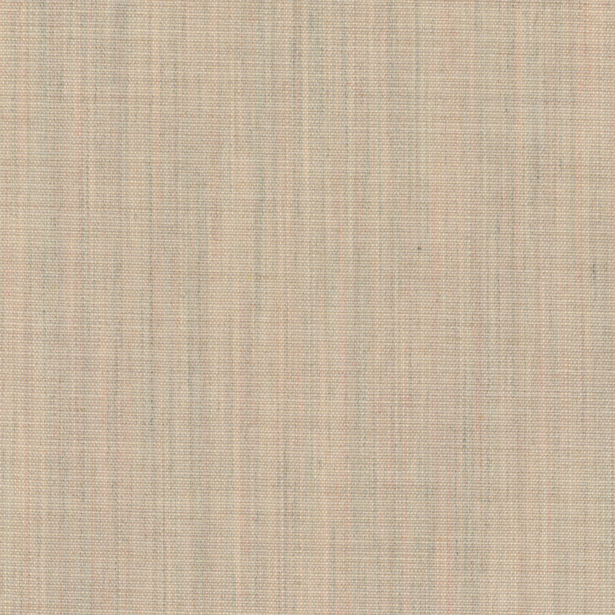 Canvas 2, 216