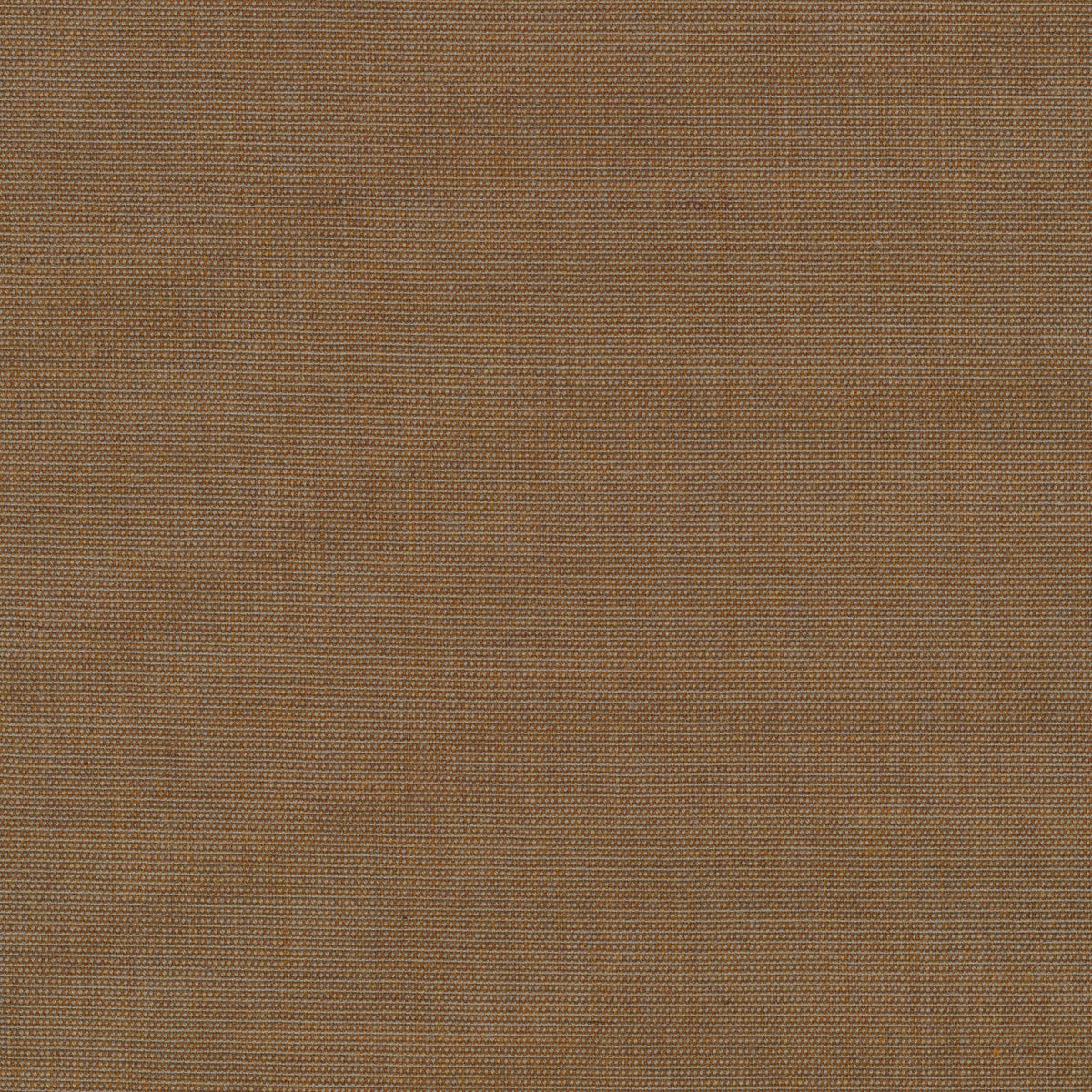 Canvas 2, 254
