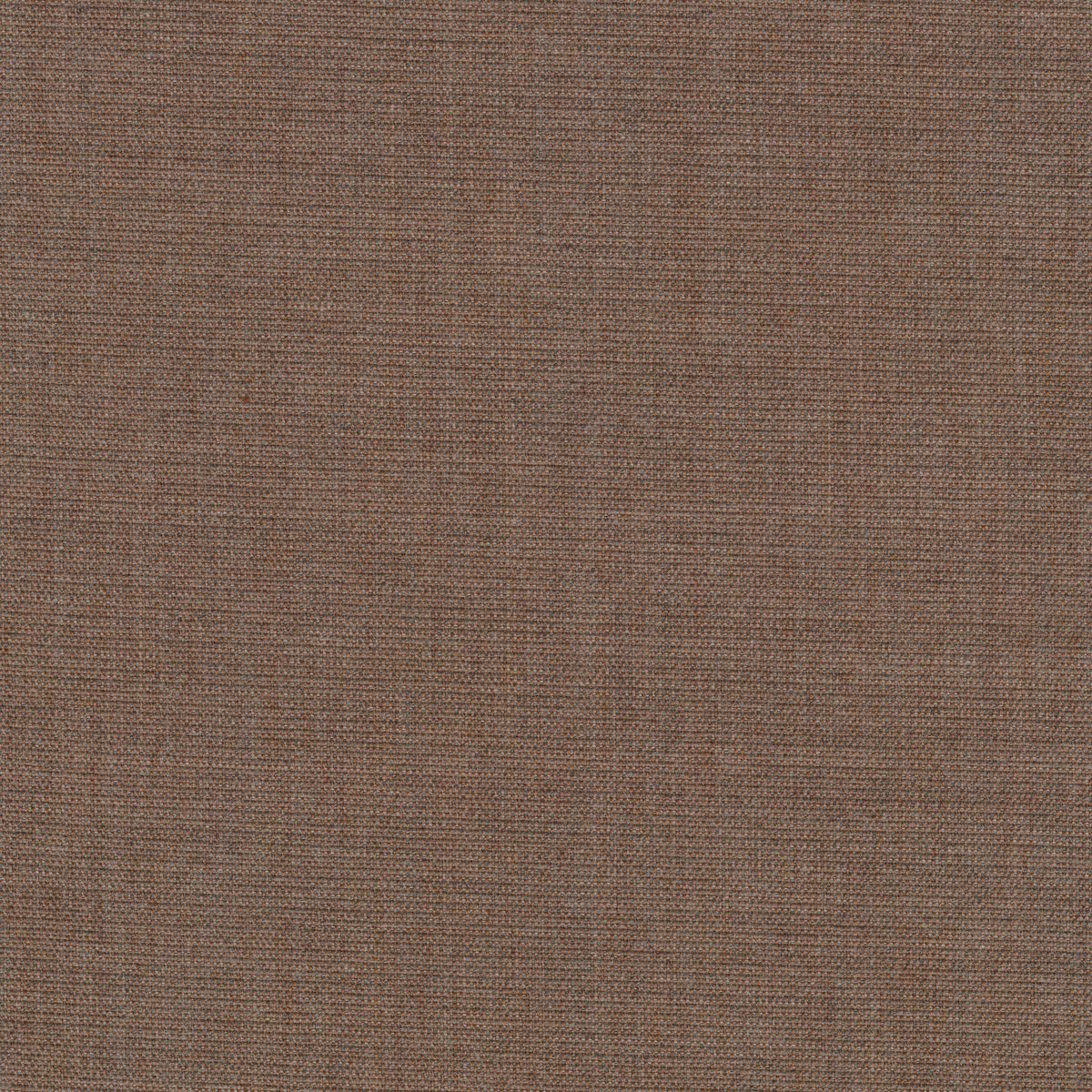 Canvas 2, 356