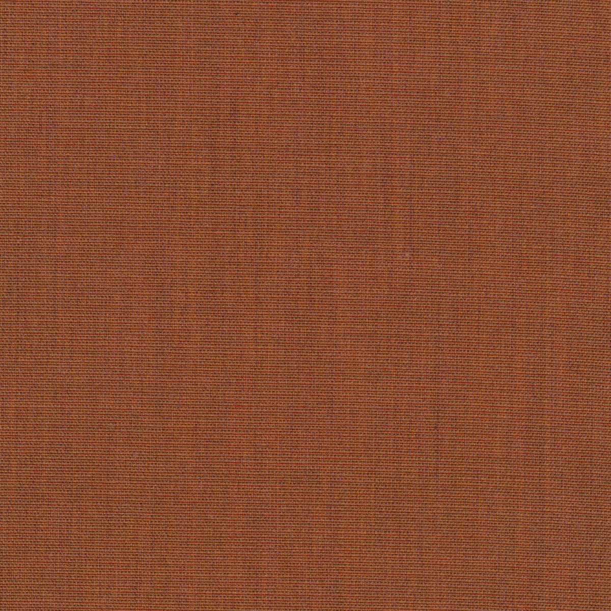 Canvas 2, 454