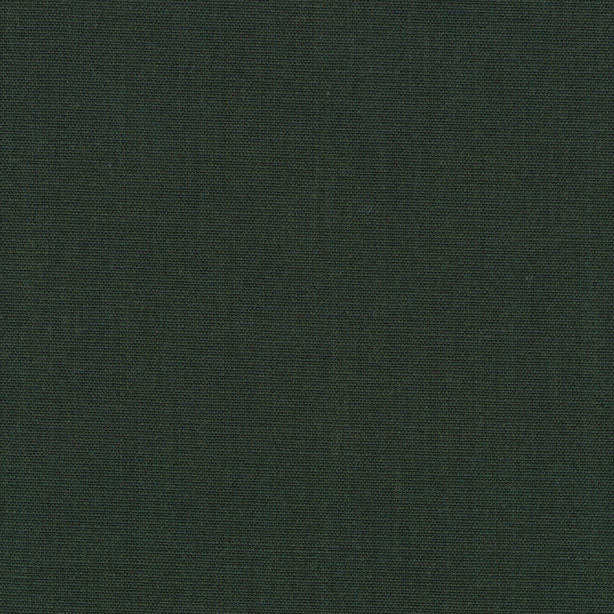 Canvas 2, 996