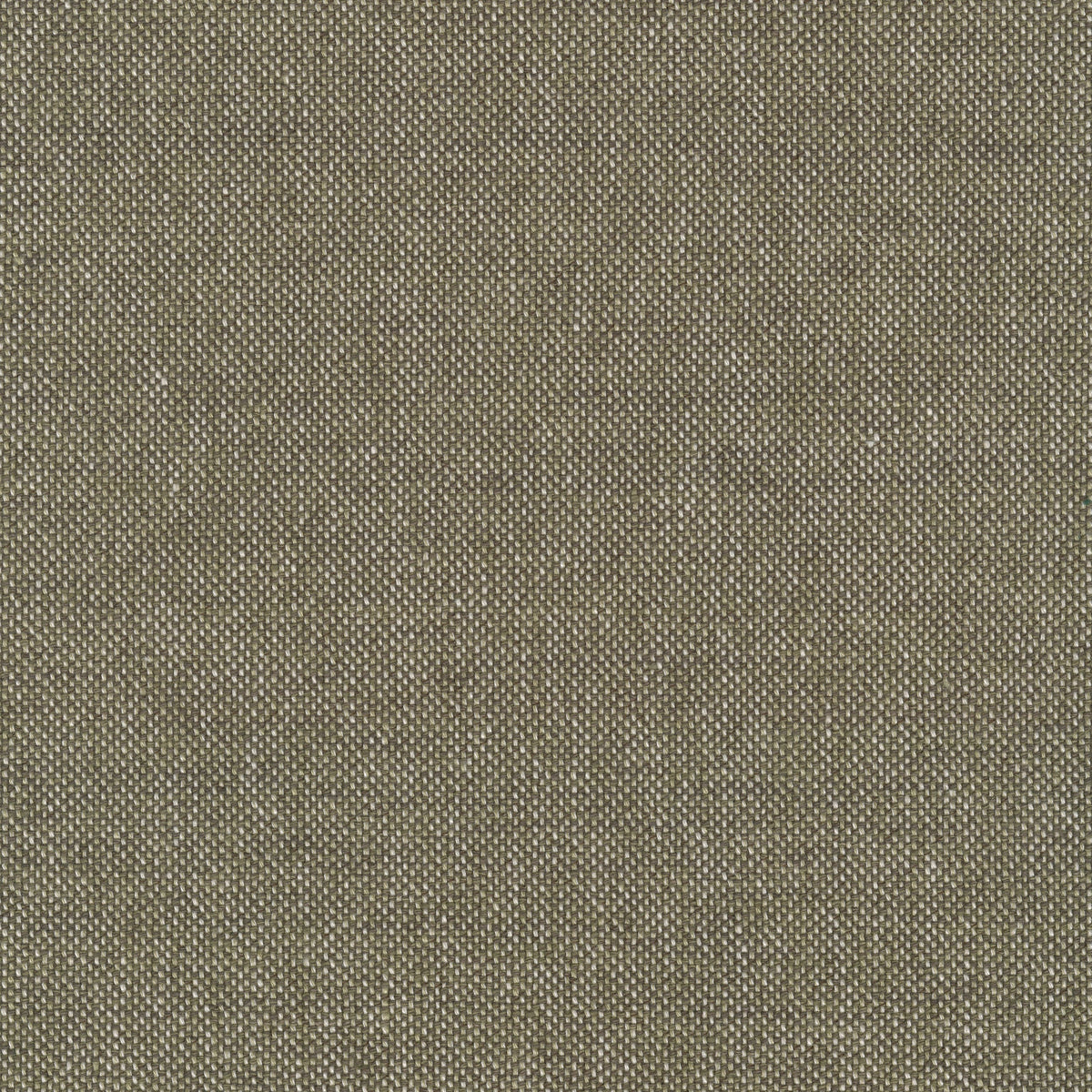 Clay, 0015