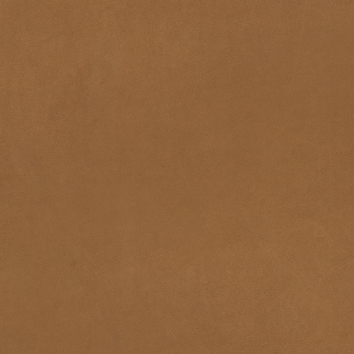 Dunes, 21000