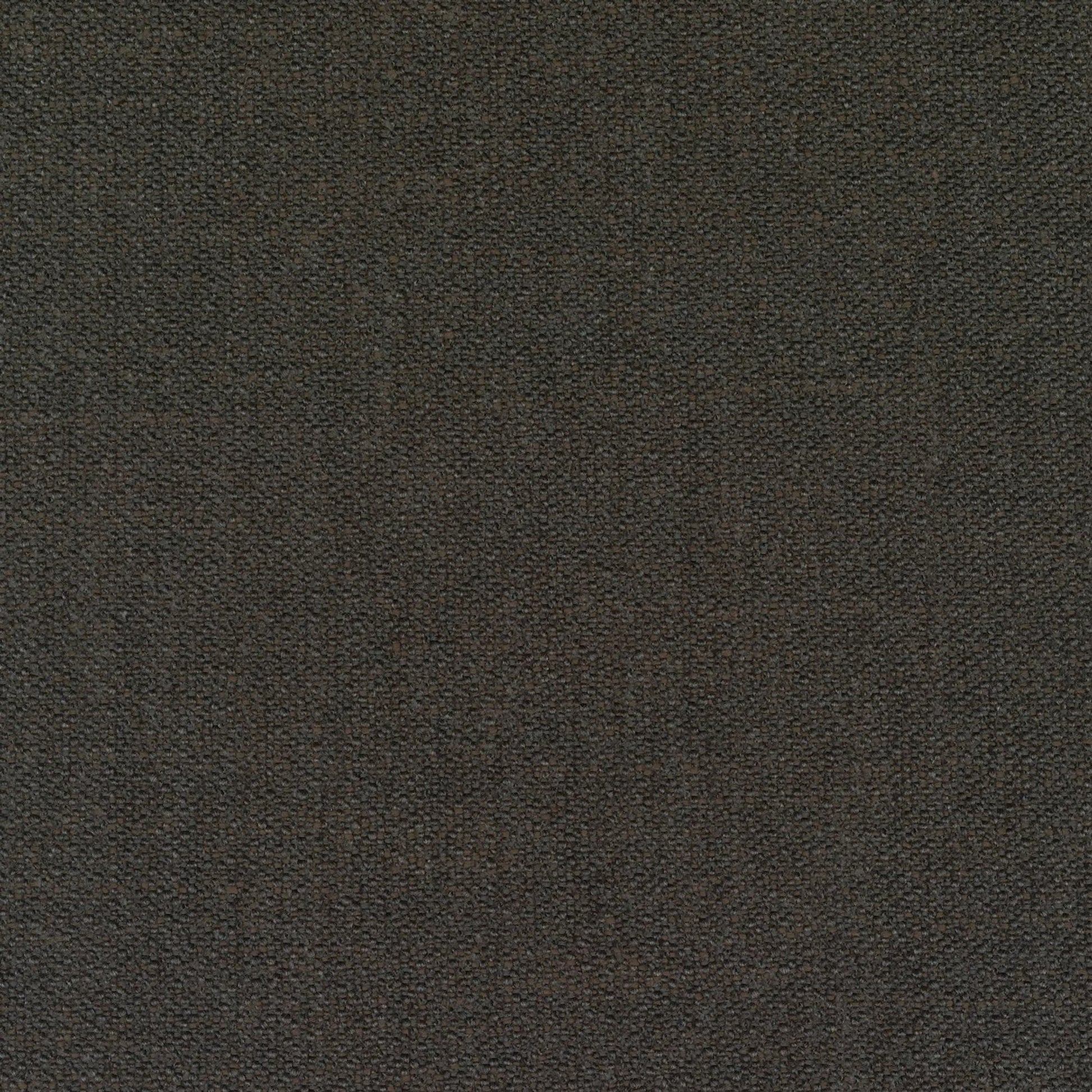 Ecriture upholstery in col. 0380, featuring a rich, textured melange bouclé surface with an organic speckled pattern.