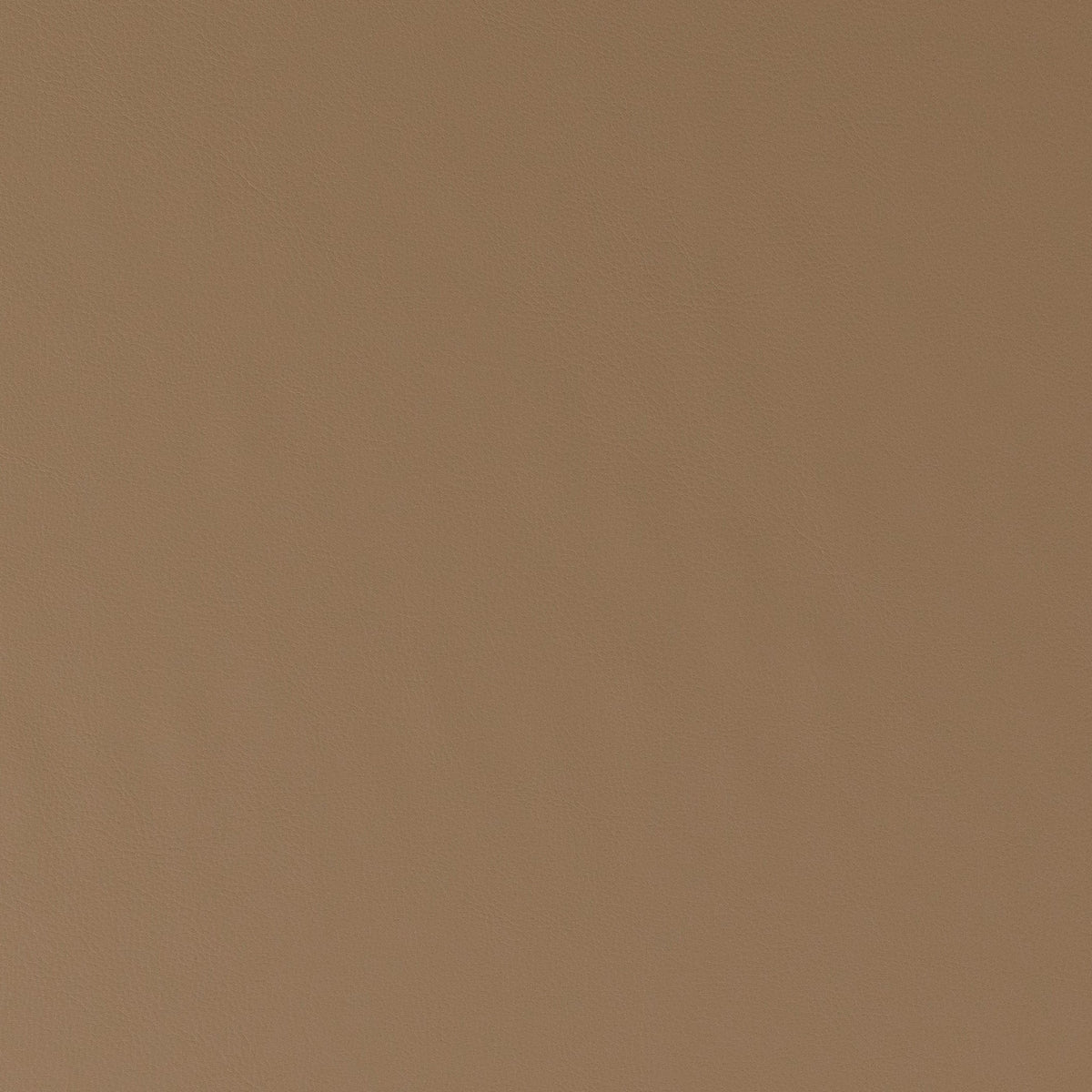 Illusion, 85020