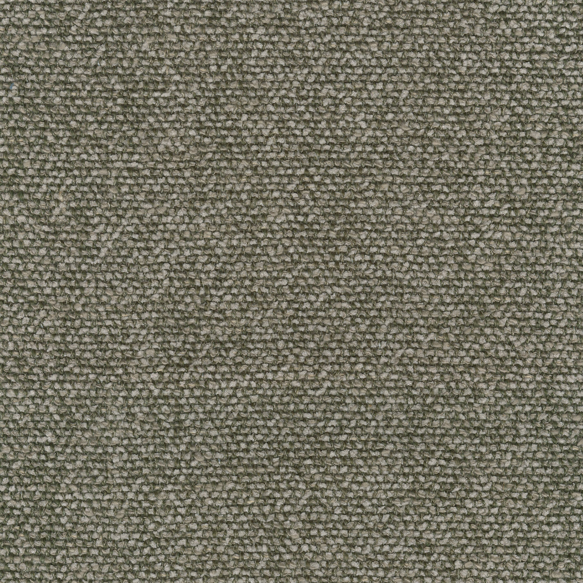 Moss, 0002