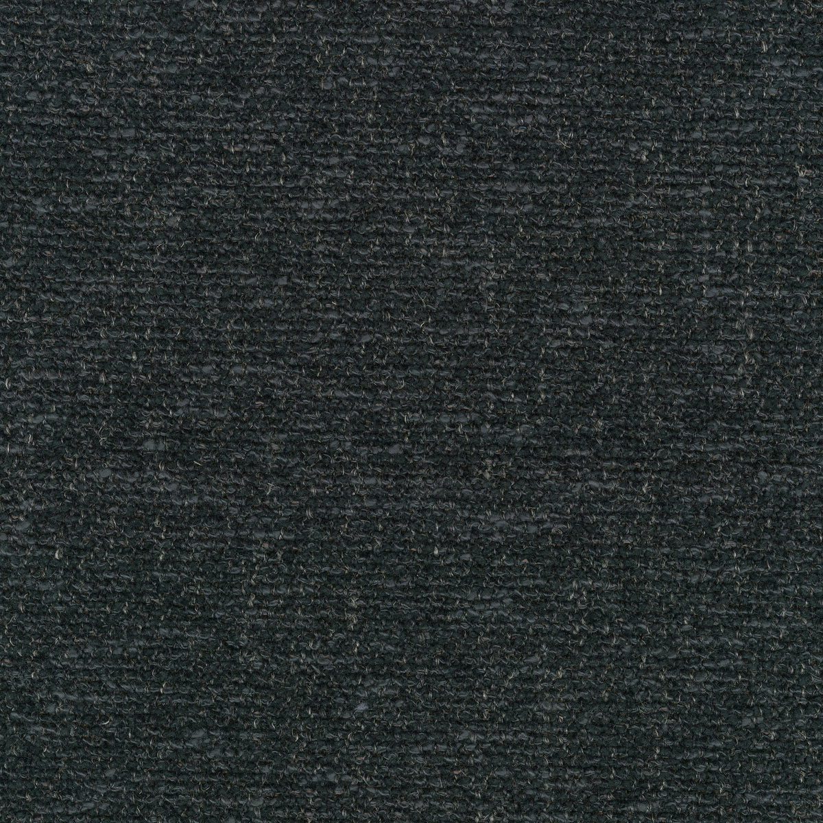 Moss, 0008