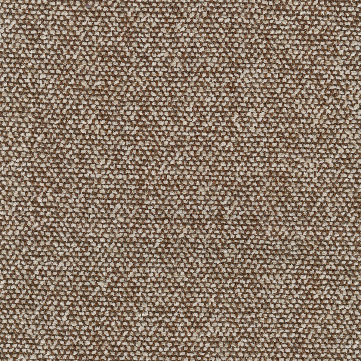 Moss, 0013