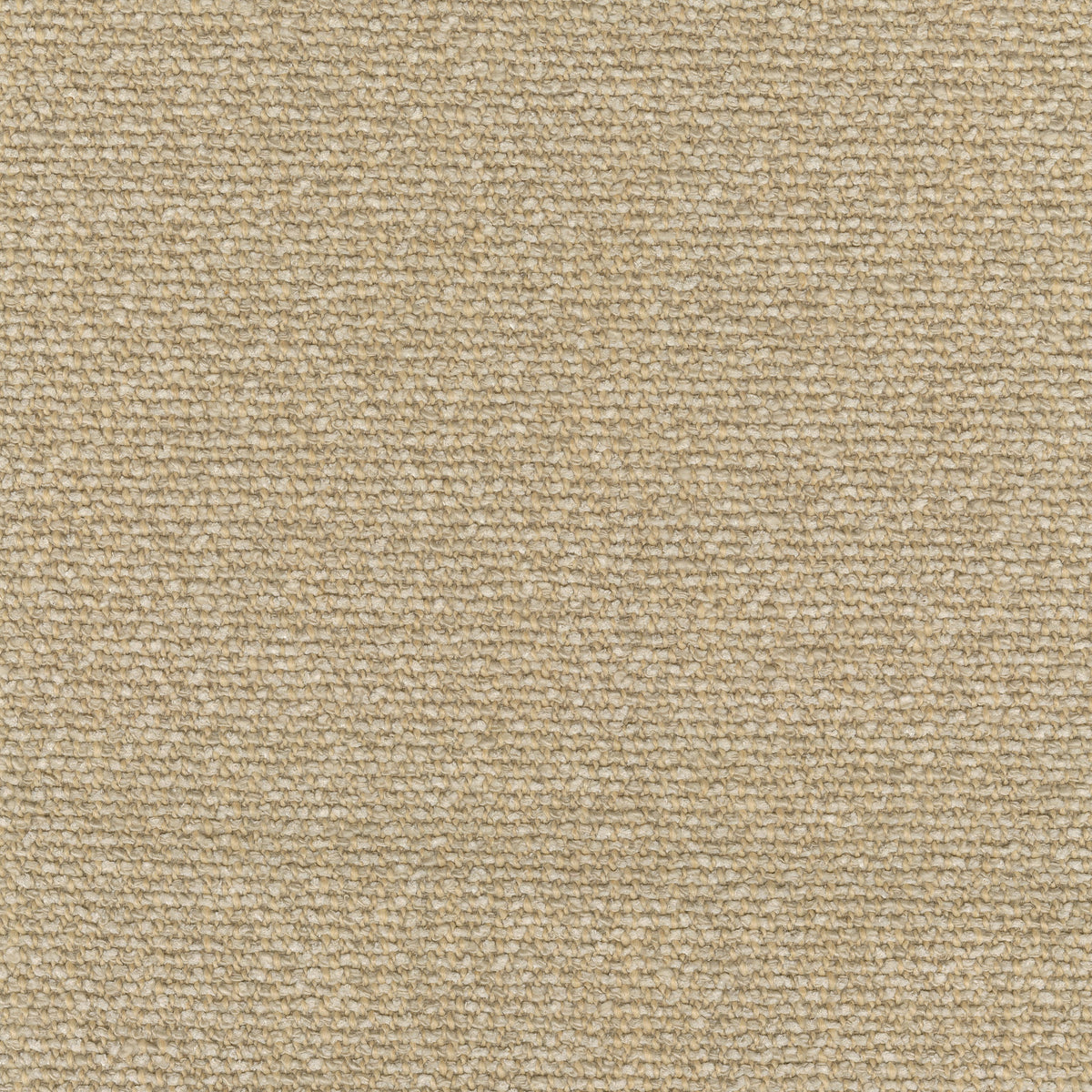 Moss, 0019