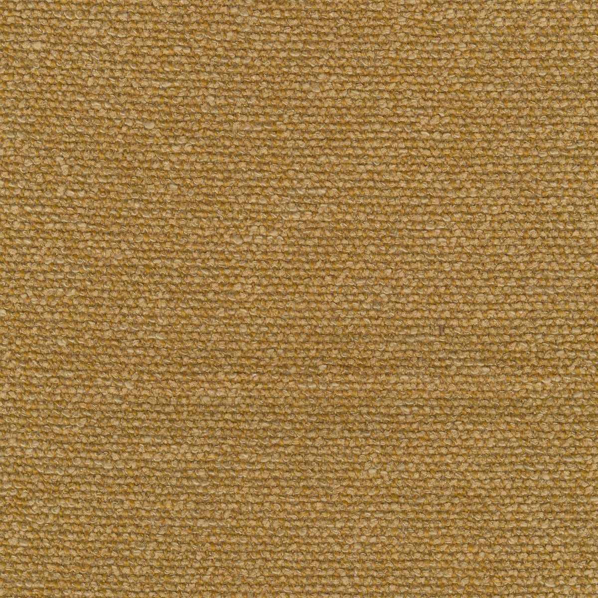 Moss, 0022