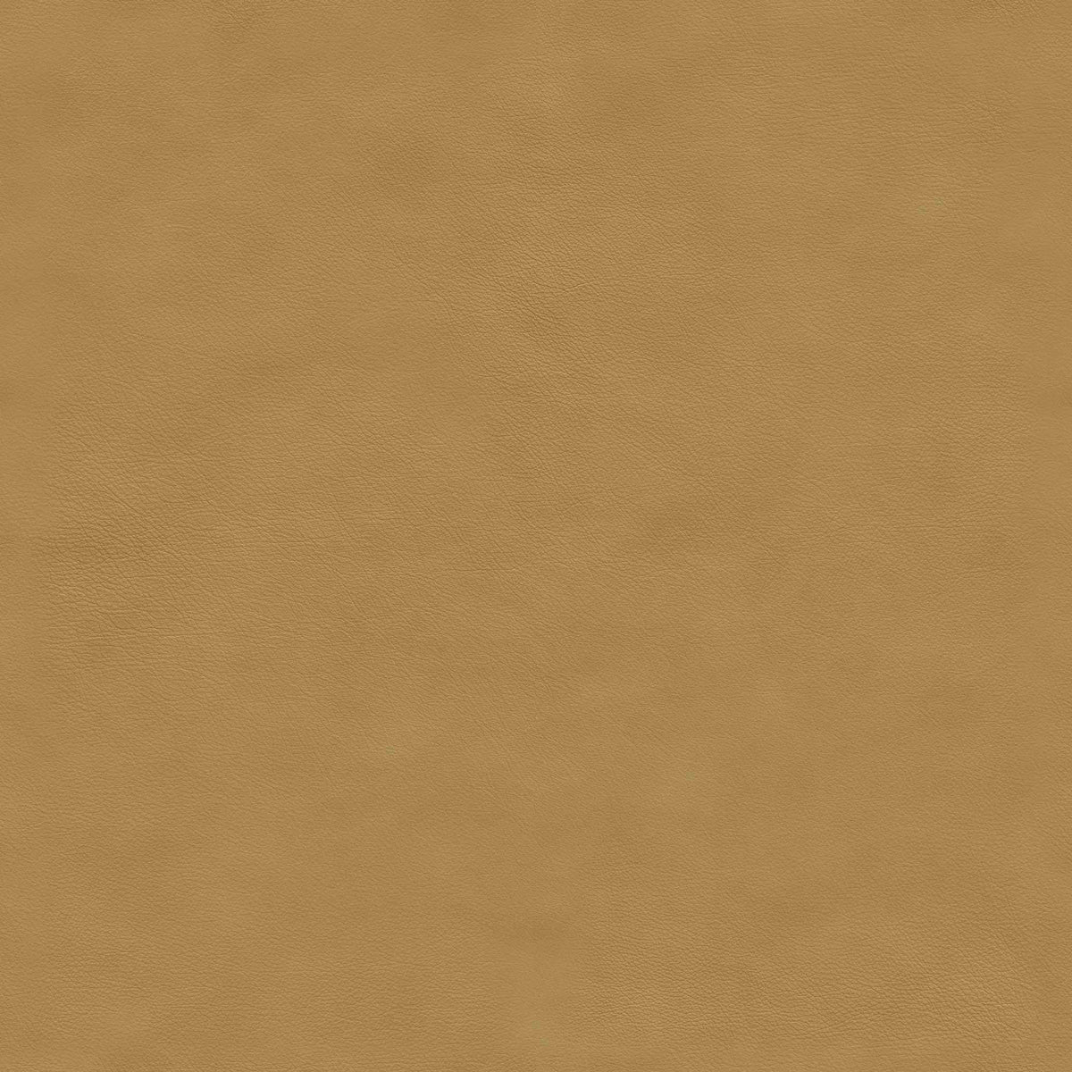 Nuance, 40794 Camel