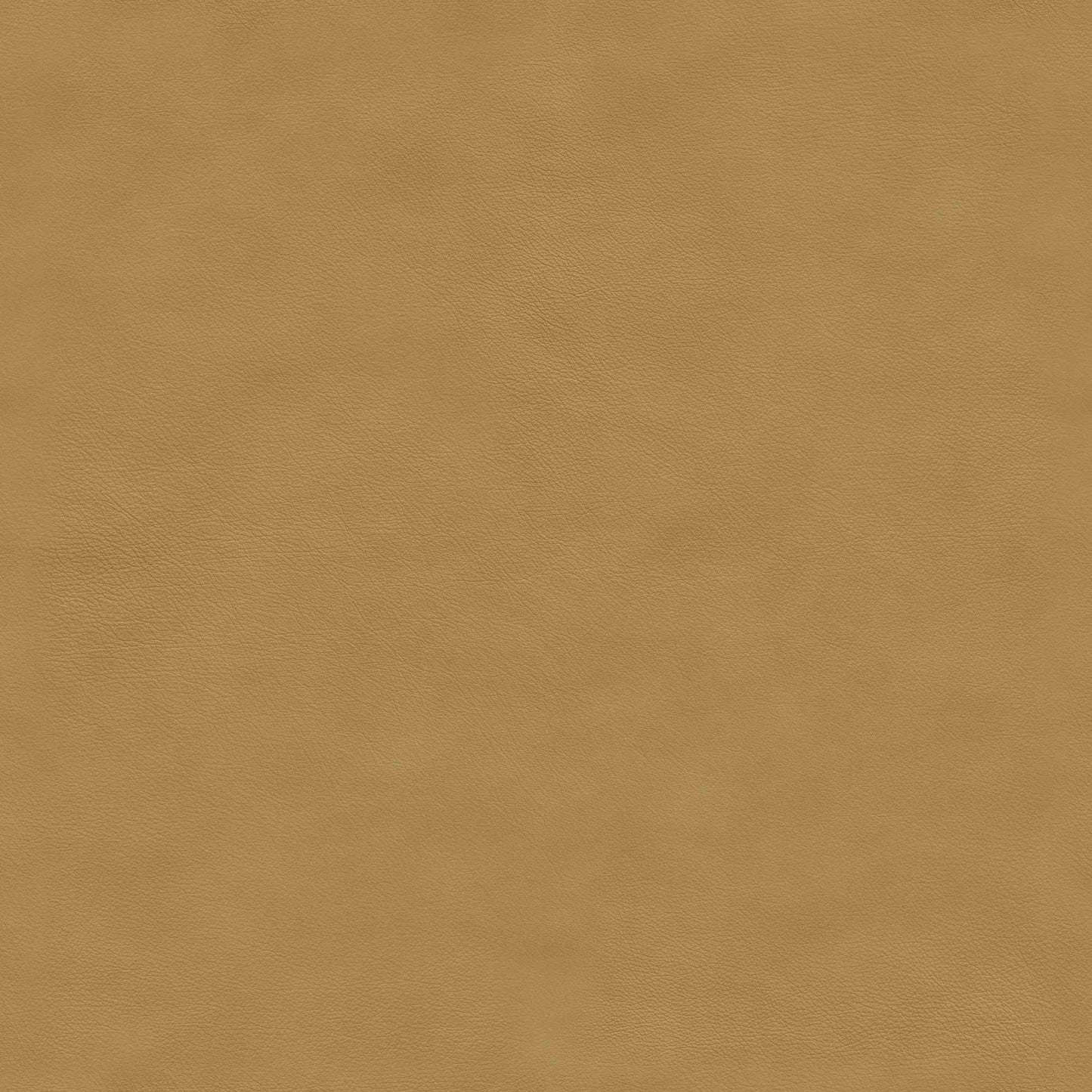 Nuance leather in colour 40794 Camel, showcasing a tactile, protected hide with a natural grain texture.