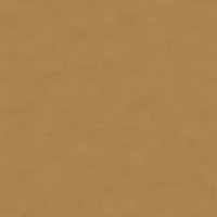 Nuance leather in colour 40794 Camel, showcasing a tactile, protected hide with a natural grain texture.