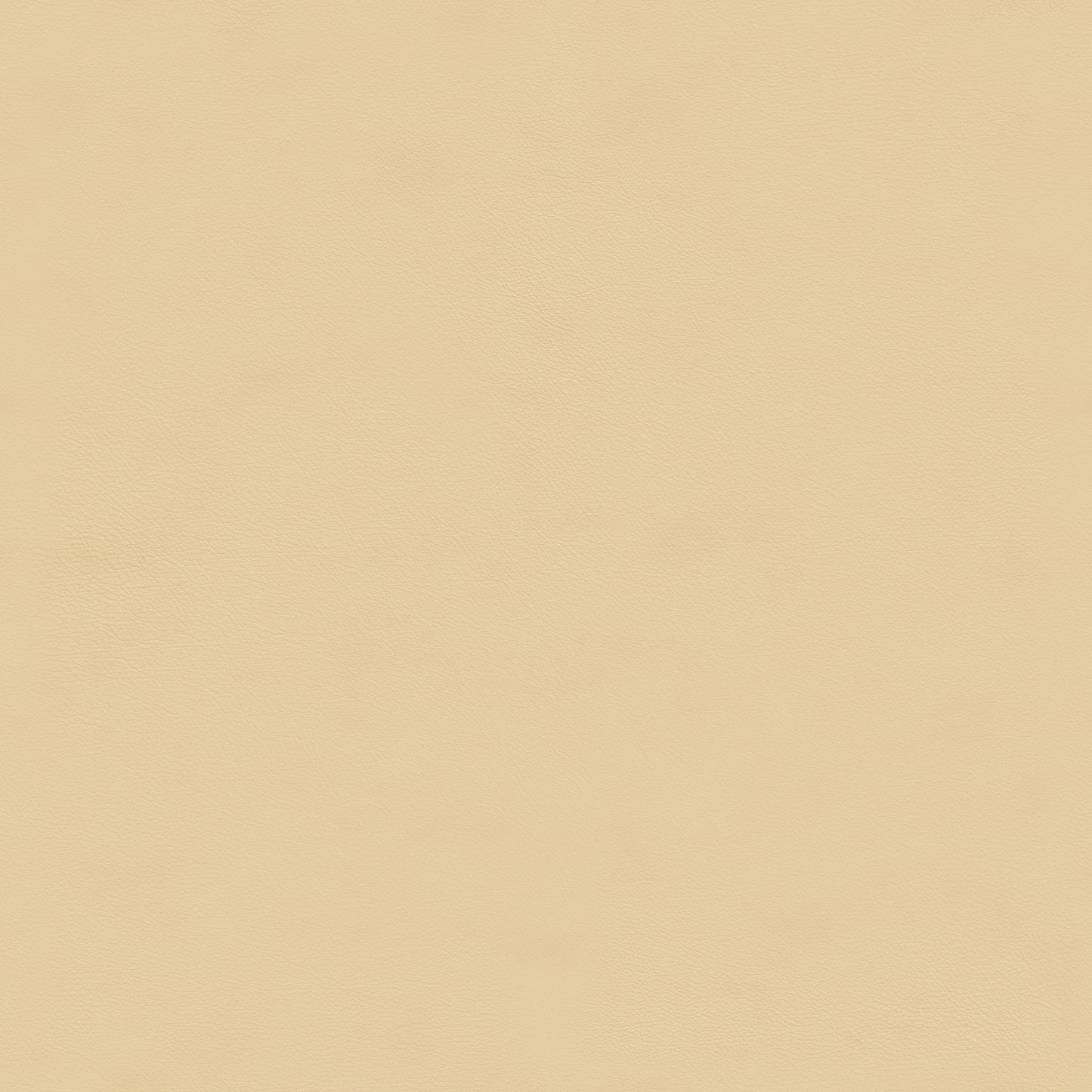 Nuance leather in col. 40795 Sand, showcasing a tactile surface and natural texture.