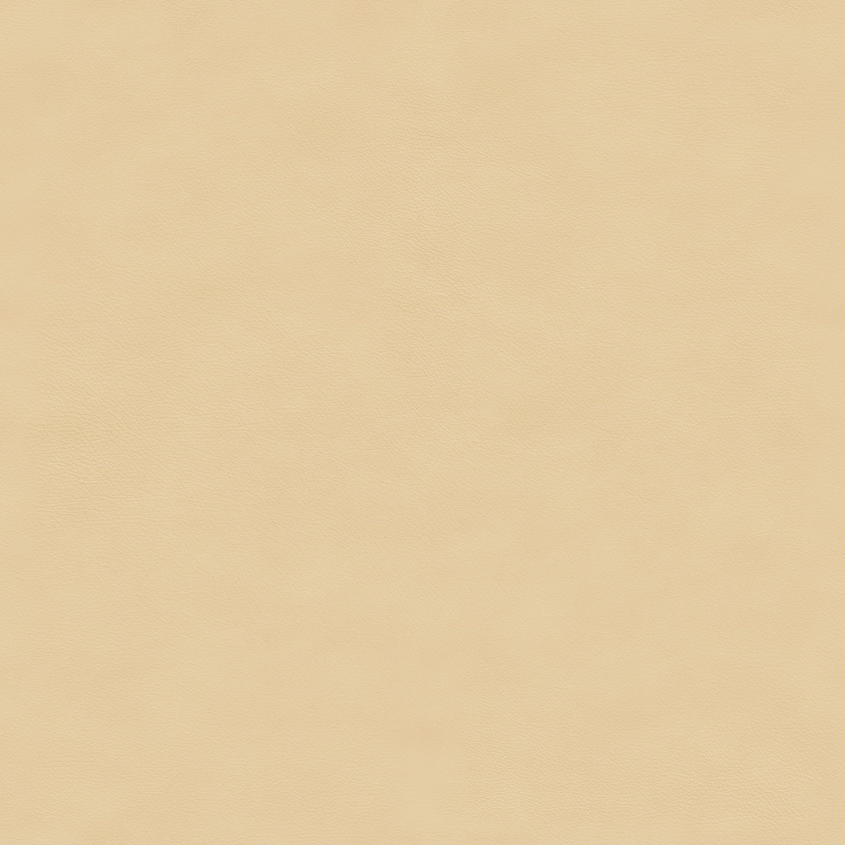 Nuance leather in col. 40795 Sand, showcasing a tactile surface and natural texture.