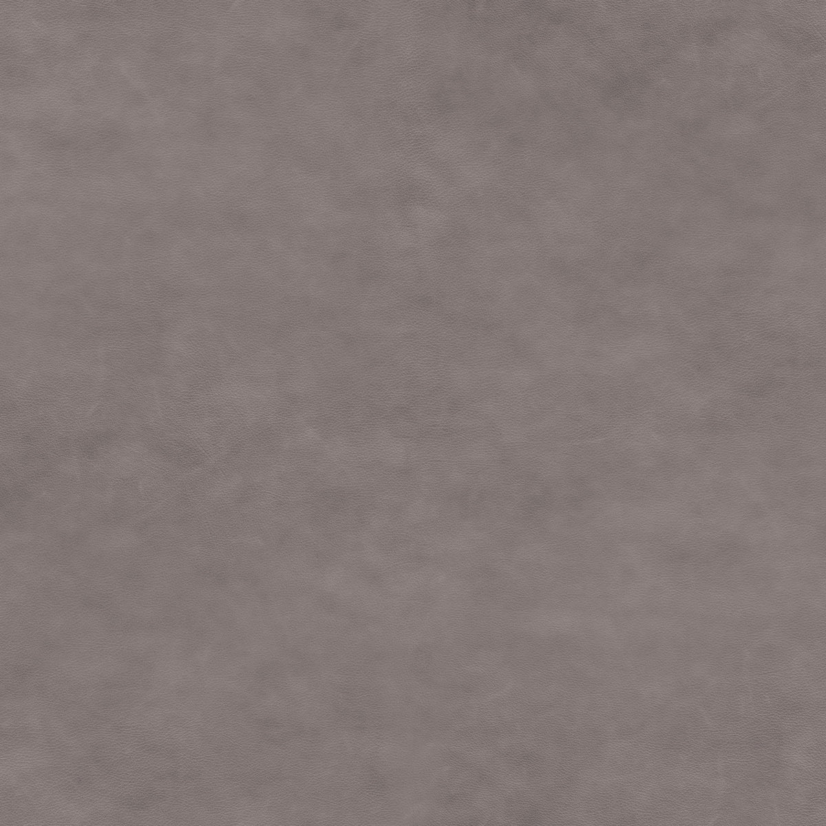 Nuance, 40783