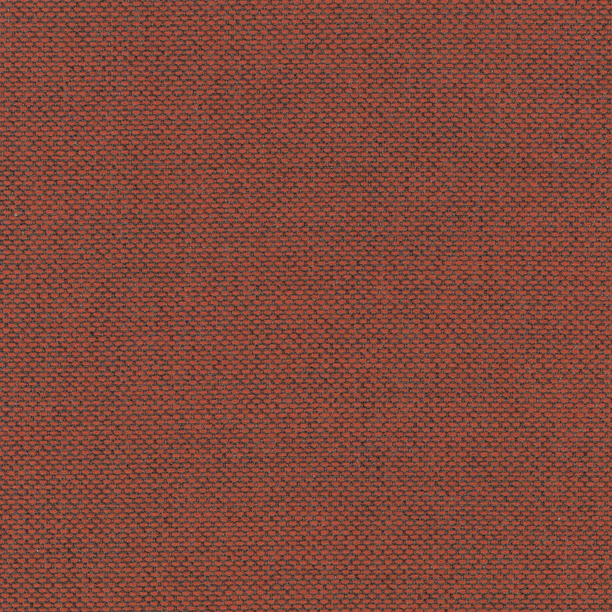 Re-Wool, 0558
