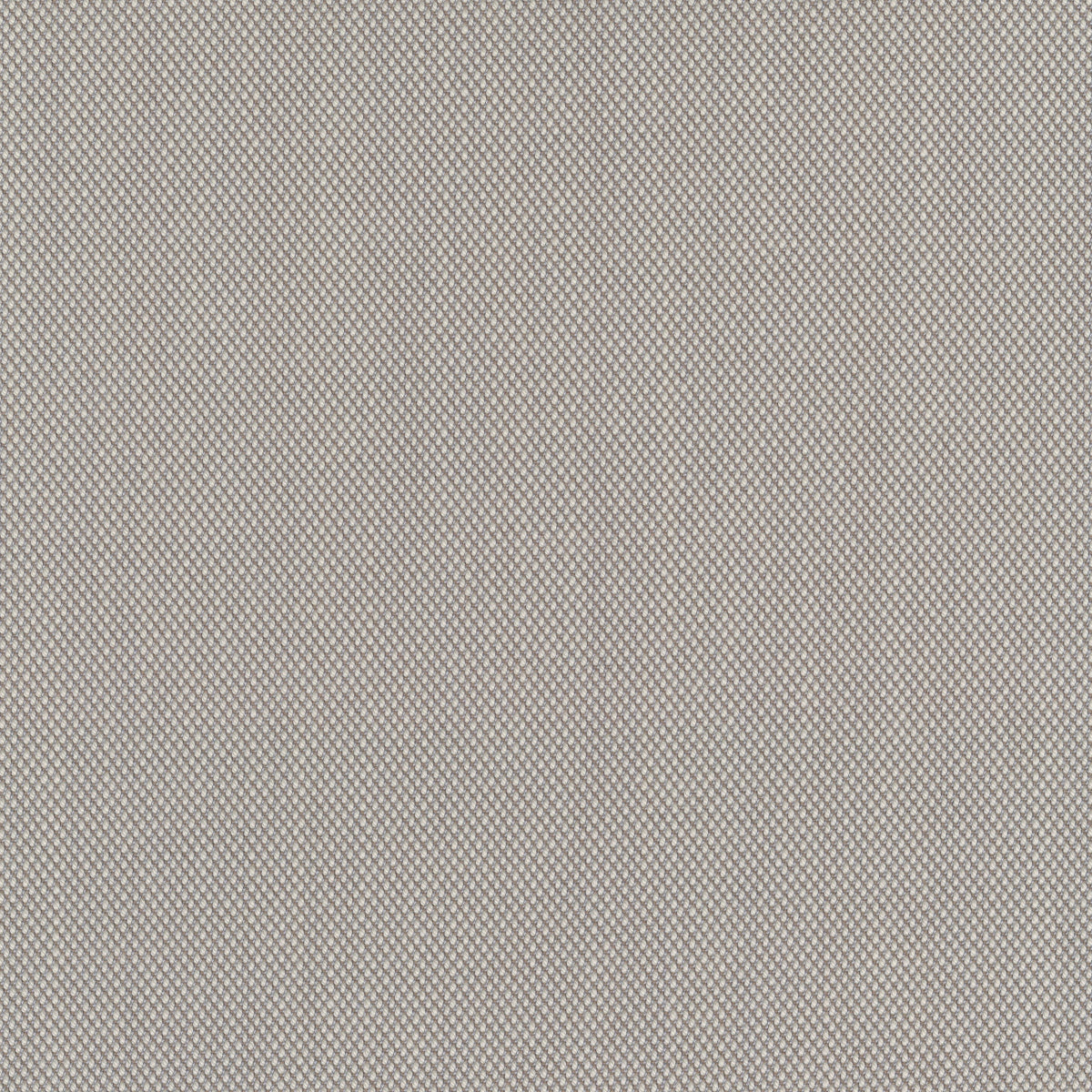 Steelcut Trio 3, 205