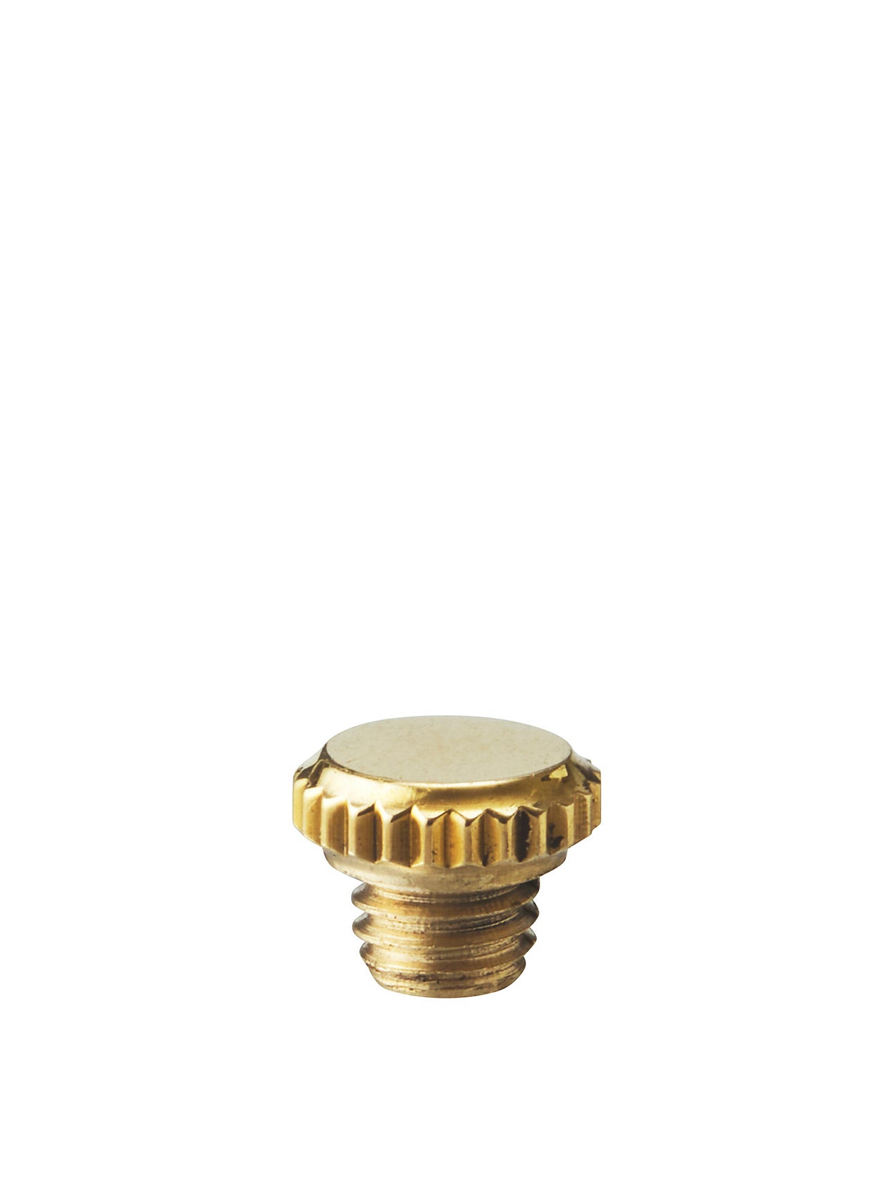 Duca screw, Polished Brass, 1 pc.