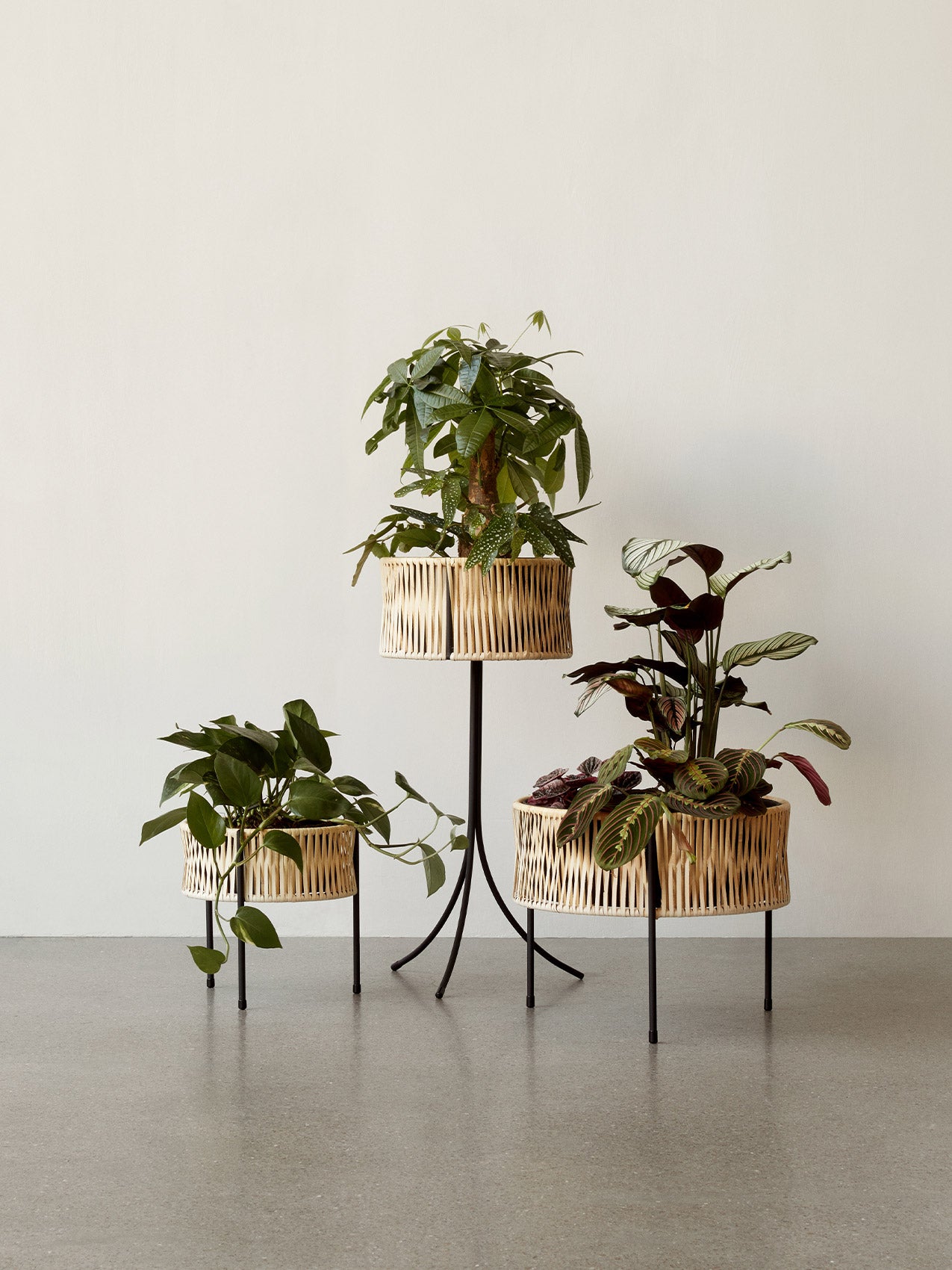 rattan plant pots Umanoff Planter, 69